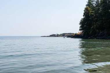 Salish sahil şeridi güneşli sahil İngiliz Kolumbiyası