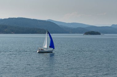 GULF Adaları, Kanada - 09 Ağustos 2024: Bulutlu bir yaz gününde Gürcistan Boğazı 'nda mavi yelkenli