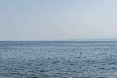 Salish sahil şeridi güneşli sahil İngiliz Kolumbiyası