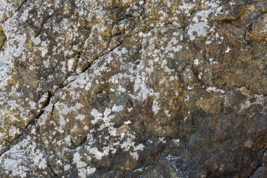 Kaya dokusu taş arka planda çatlaklar ve tasarım için kopyalama alanı