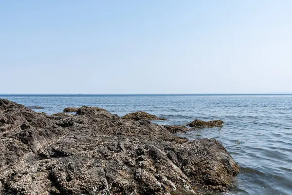 Salish sahil şeridi güneşli sahil İngiliz Kolumbiyası