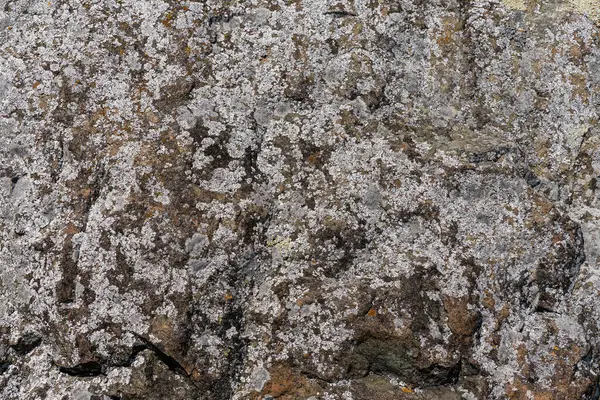 Kaya dokusu taş arka planda çatlaklar ve tasarım için kopyalama alanı