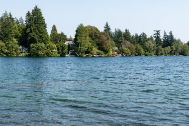 LANGFORD, CANADA - 10 Ağustos 2024 Floransa Gölü ve yeşil ağaçlı mavi gökyüzü