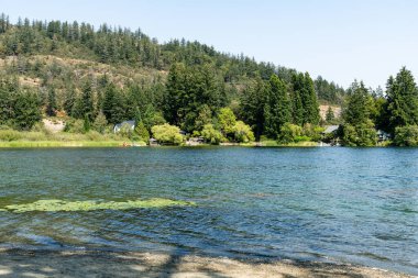 LANGFORD, CANADA - 10 Ağustos 2024 Floransa Gölü ve yeşil ağaçlı mavi gökyüzü
