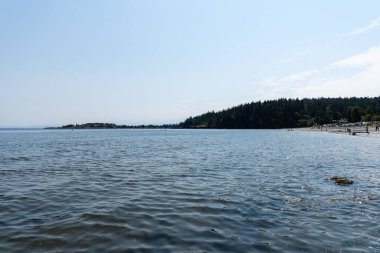 VICTORIA, CANADA - 10 AĞUSTOS 2024: Salish sahil şeridi güneşli İngiliz Kolombiya Sahil Hattı