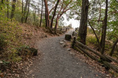 Yaz aylarında Thetis Gölü Bölgesel Parkı İngiliz Kolombiyası Kanada 'da dağlara bakan cennet ormanlarında yürüyüş patikaları.