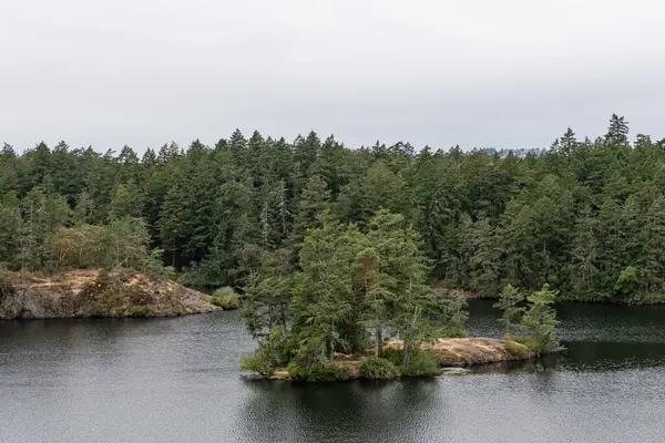 Thetis Gölü 'ndeki Thetis Gölü Bölgesel Parkı sakin su ve bulutlu gün