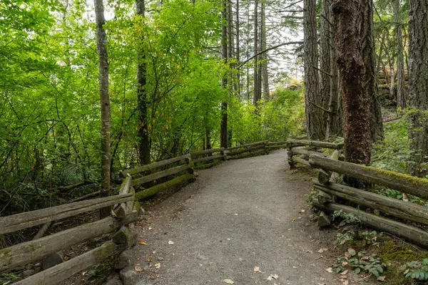 Yaz aylarında Thetis Gölü Bölgesel Parkı İngiliz Kolombiyası Kanada 'da dağlara bakan cennet ormanlarında yürüyüş patikaları.