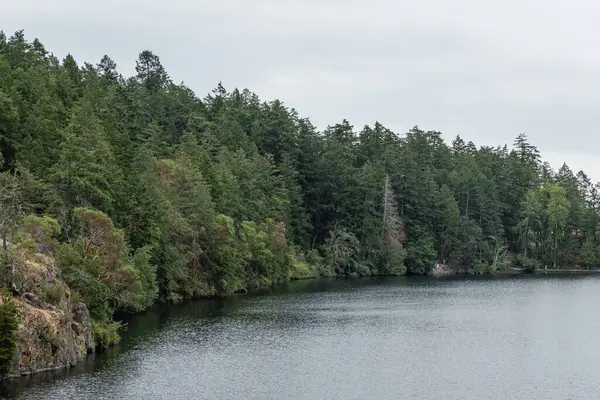 Thetis Gölü 'nün yukarısında Bölge Parkı sakin su ve bulutlu gün