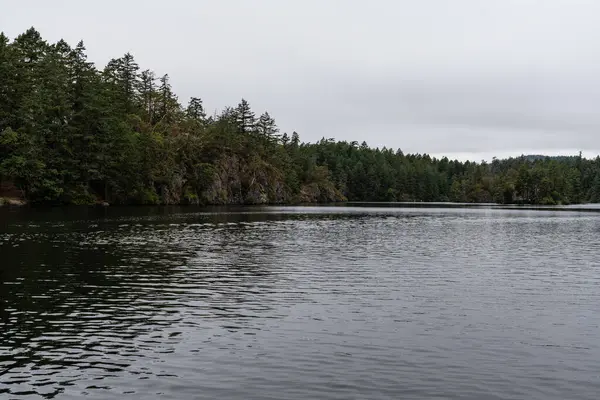 Thetis Gölü 'ndeki Thetis Gölü Bölgesel Parkı sakin su ve bulutlu gün