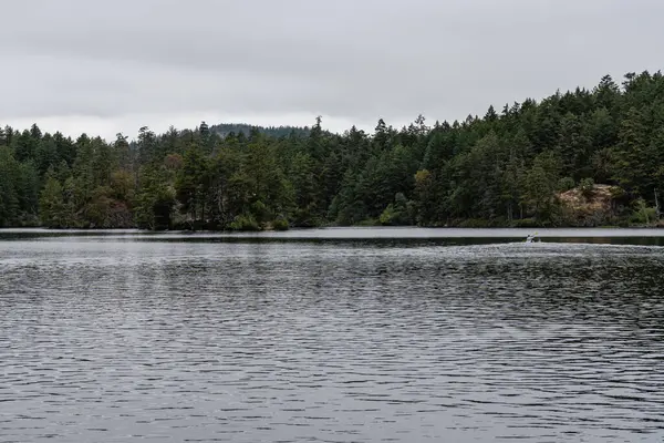 Thetis Gölü 'ndeki Thetis Gölü Bölgesel Parkı sakin su ve bulutlu gün