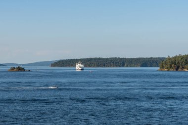 SIDNEY, CANADA - 11 Ağustos 2024: Moresby Geçidi yakınlarındaki Swartz Körfezi 'nden İngiliz Columbia feribot gemisi