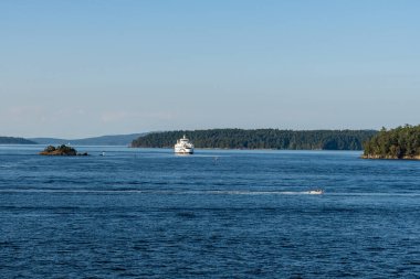 SIDNEY, CANADA - 11 Ağustos 2024: Moresby Geçidi yakınlarındaki Swartz Körfezi 'nden İngiliz Columbia feribot gemisi