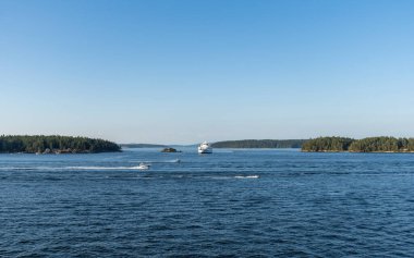 SIDNEY, CANADA - 11 Ağustos 2024: Moresby Geçidi yakınlarındaki Swartz Körfezi 'nden İngiliz Columbia feribot gemisi