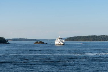 SIDNEY, CANADA - 11 Ağustos 2024: Moresby Geçidi yakınlarındaki Swartz Körfezi 'nden İngiliz Columbia feribot gemisi