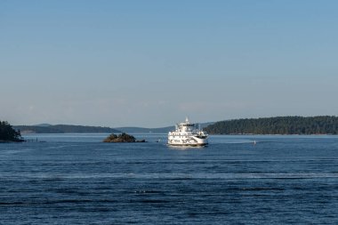 SIDNEY, CANADA - 11 Ağustos 2024: Moresby Geçidi yakınlarındaki Swartz Körfezi 'nden İngiliz Columbia feribot gemisi