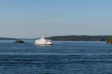 SIDNEY, CANADA - 11 Ağustos 2024: Moresby Geçidi yakınlarındaki Swartz Körfezi 'nden İngiliz Columbia feribot gemisi