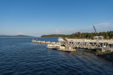 SWARTZ BAY, CANADA - 11 Ağustos 2024: Vancouver adasındaki Swartz Körfezi (Victoria) Feribot Terminali BC Feribotları açık mavi gökyüzü