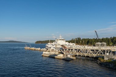 SWARTZ BAY, CANADA - 11 Ağustos 2024: Vancouver adasındaki Swartz Körfezi (Victoria) Feribot Terminali BC Feribotları açık mavi gökyüzü