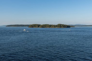SIDNEY, CANADA - 11 Ağustos 2024: Moresby Geçidi yakınlarındaki Swartz Körfezi 'nden İngiliz Kolombiya motorlu botları