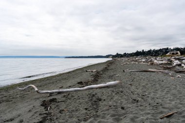 VICTORIA, CANADA - 11 Ağustos 2024: Vancouver Adası 'nda İngiliz Kolumbiyası' nın cennet manzaralı bir sahil manzarası