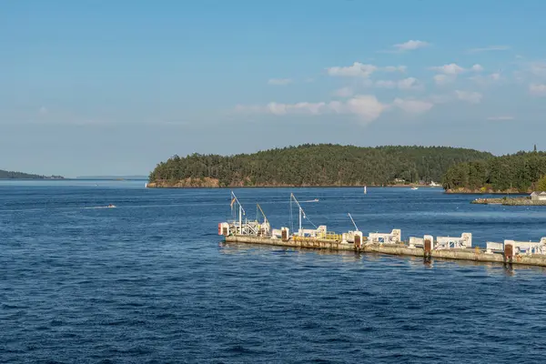SWARTZ BAY, CANADA - 11 Ağustos 2024: Vancouver adasındaki Swartz Körfezi (Victoria) Feribot Terminali BC Feribotları açık mavi gökyüzü