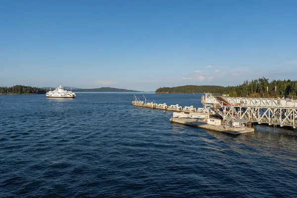 SWARTZ BAY, CANADA - 11 Ağustos 2024: Vancouver adasındaki Swartz Körfezi (Victoria) Feribot Terminali BC Feribotları açık mavi gökyüzü