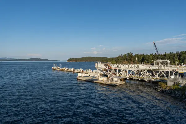 SWARTZ BAY, CANADA - 11 Ağustos 2024: Vancouver adasındaki Swartz Körfezi (Victoria) Feribot Terminali BC Feribotları açık mavi gökyüzü
