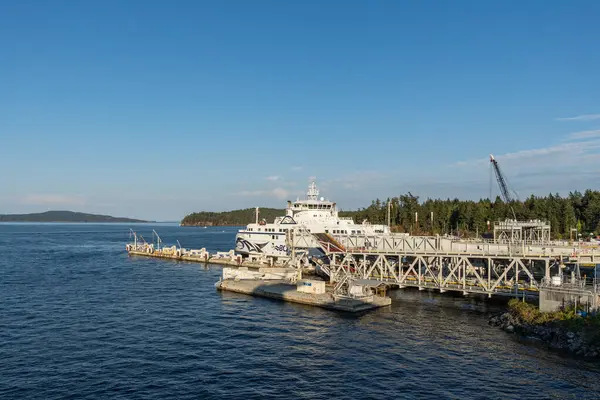 SWARTZ BAY, CANADA - 11 Ağustos 2024: Vancouver adasındaki Swartz Körfezi (Victoria) Feribot Terminali BC Feribotları açık mavi gökyüzü