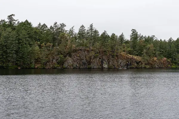 VİEW ROYAL, CANADA - 11 Ağustos 2024: Thetis Gölü 'ndeki Thetis Gölü sakin su ve bulutlu gün