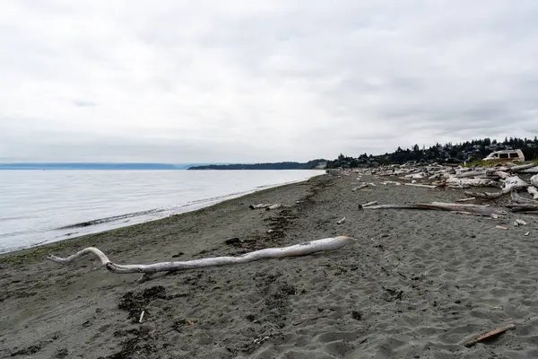 VICTORIA, CANADA - 11 Ağustos 2024: Vancouver Adası 'nda İngiliz Kolumbiyası' nın cennet manzaralı bir sahil manzarası