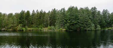Thetis Gölü 'nün yukarısındaki panorama. Bölgesel Park sakin su ve bulutlu gün.