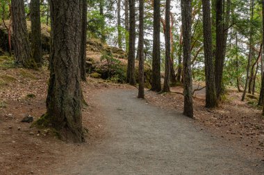 Yaz aylarında Thetis Gölü Bölgesel Parkı İngiliz Kolombiyası Kanada 'da dağlara bakan cennet ormanlarında yürüyüş patikaları.