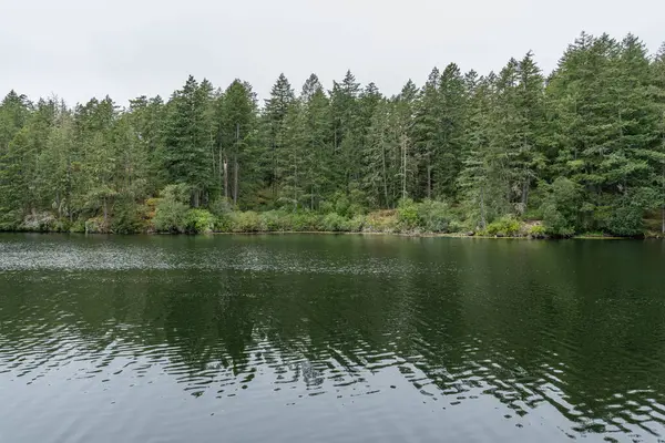 Thetis Gölü 'nün yukarısında Bölge Parkı sakin su ve bulutlu gün