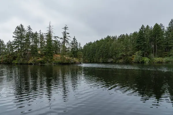 Thetis Gölü 'nün yukarısında Bölge Parkı sakin su ve bulutlu gün