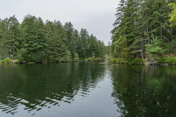 Thetis Gölü 'nün yukarısında Bölge Parkı sakin su ve bulutlu gün