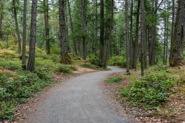 Yaz aylarında Thetis Gölü Bölgesel Parkı İngiliz Kolombiyası Kanada 'da dağlara bakan cennet ormanlarında yürüyüş patikaları.