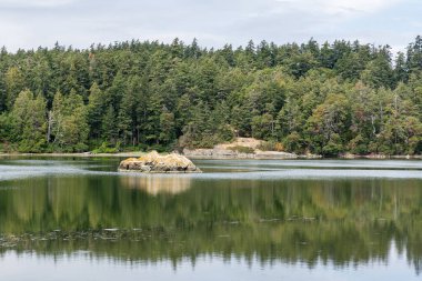 Vancouver Adası 'ndaki vahşi orman parkı manzaralı güzel Esquimalt Gölü British Columbia