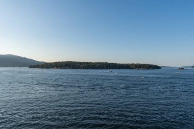 SIDNEY, CANADA - 11 Ağustos 2024: Moresby Geçidi yakınlarındaki Swartz Körfezi 'nden İngiliz Kolombiya motorlu botları