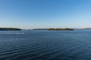 SIDNEY, CANADA - 11 Ağustos 2024: Moresby Geçidi yakınlarındaki Swartz Körfezi 'nden İngiliz Kolombiya motorlu botları