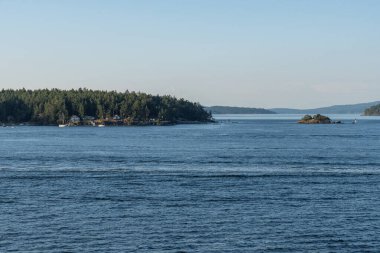 SIDNEY, CANADA - 11 Ağustos 2024: Moresby Geçidi yakınlarındaki Swartz Körfezi 'nden İngiliz Kolombiya motorlu botları