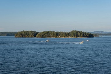 SIDNEY, CANADA - 11 Ağustos 2024: Moresby Geçidi yakınlarındaki Swartz Körfezi 'nden İngiliz Kolombiya motorlu botları