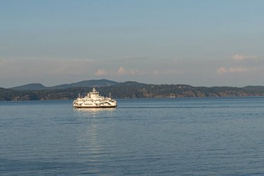 SIDNEY, CANADA - 11 Ağustos 2024: Moresby Geçidi yakınlarındaki Swartz Körfezi 'nden İngiliz Columbia feribot gemisi