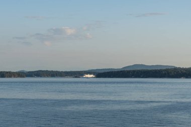 SIDNEY, CANADA - 11 Ağustos 2024: Moresby Geçidi yakınlarındaki Swartz Körfezi 'nden İngiliz Columbia feribot gemisi