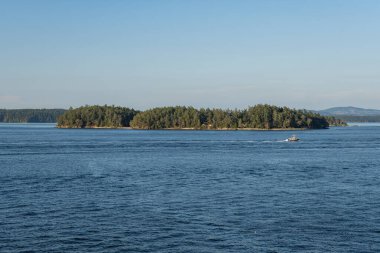 SIDNEY, CANADA - 11 Ağustos 2024: Moresby Geçidi yakınlarındaki Swartz Körfezi 'nden İngiliz Kolombiya motorlu botları
