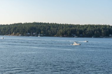 SIDNEY, CANADA - 11 Ağustos 2024: Moresby Geçidi yakınlarındaki Swartz Körfezi 'nden İngiliz Kolombiya motorlu botları