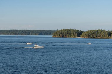 SIDNEY, CANADA - 11 Ağustos 2024: Moresby Geçidi yakınlarındaki Swartz Körfezi 'nden İngiliz Kolombiya motorlu botları