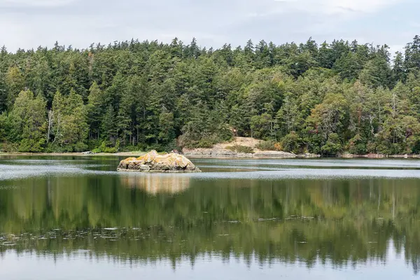 Vancouver Adası 'ndaki vahşi orman parkı manzaralı güzel Esquimalt Gölü British Columbia
