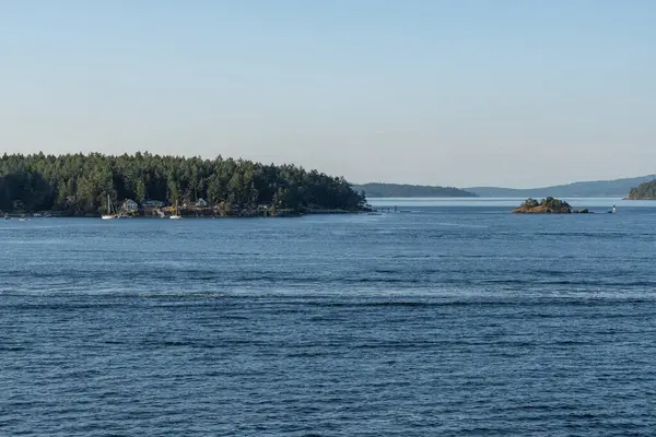 SIDNEY, CANADA - 11 Ağustos 2024: Moresby Geçidi yakınlarındaki Swartz Körfezi 'nden İngiliz Kolombiya motorlu botları