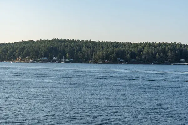 SIDNEY, CANADA - 11 Ağustos 2024: Moresby Geçidi yakınlarındaki Swartz Körfezi 'nden İngiliz Kolombiya motorlu botları